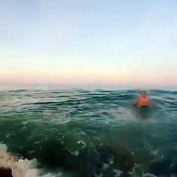 Un homme attrape un gros poisson à mains nues pendant qu’il se baigne