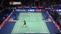 BEST BADMINTON RALLIES 2015 IN SIMPLE( Dives, trick shots, impossible shots, ...)-pZAX4zteK5s