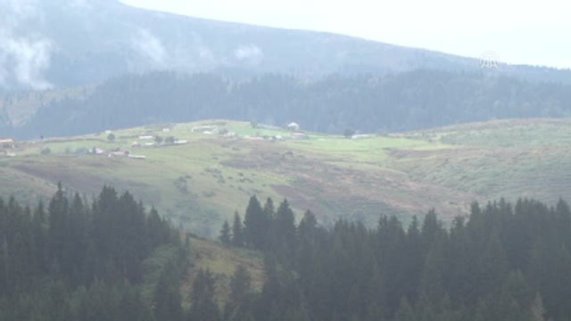 Karadeniz Yaylalarında Kış Hazırlığı - Ordu