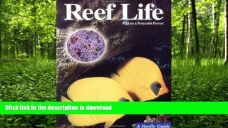 READ  Reef Life (A Firefly Guide)  BOOK ONLINE