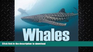 EBOOK ONLINE  Whales - Let s Meet Mr. Big Fins: Whales Kids Book (Children s Fish   Marine Life