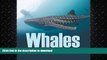 EBOOK ONLINE  Whales - Let s Meet Mr. Big Fins: Whales Kids Book (Children s Fish   Marine Life