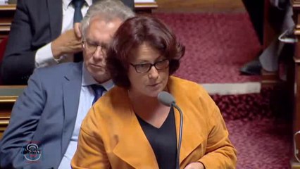 QAG de Stéphanie Riocreux du 29 septembre 2016