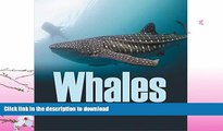 GET PDF  Whales - Let s Meet Mr. Big Fins: Whales Kids Book (Children s Fish   Marine Life Books)