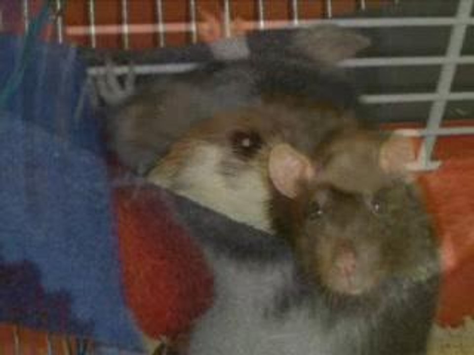 Photorécit2