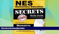 Big Deals  NES Elementary Education Secrets Study Guide: NES Test Review for the National