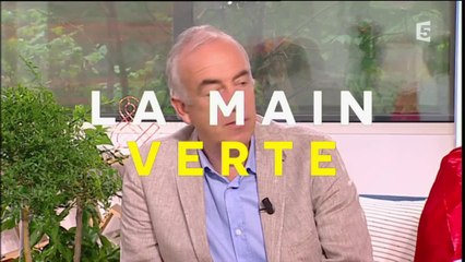 Chronique jardinage: Des agrumes dans mon salon