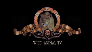 Lion vs Buffalo & Crocodile vs Tiger | CRAZIEST Animals Attacks | Most Shocking Animal Attacks