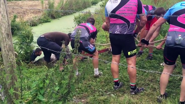 Le sauvetage miraculeux d'un cheval piégé dans la boue par des cyclistes !