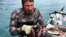 Tuer une pieuvre en mordant le cerveau : pêcheur Néo Zélandais