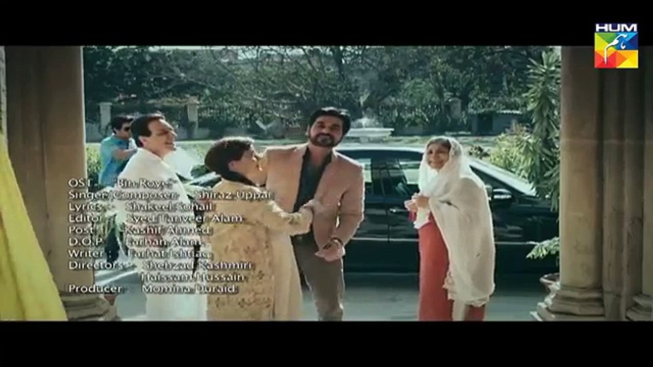 bin roye 3rd promo