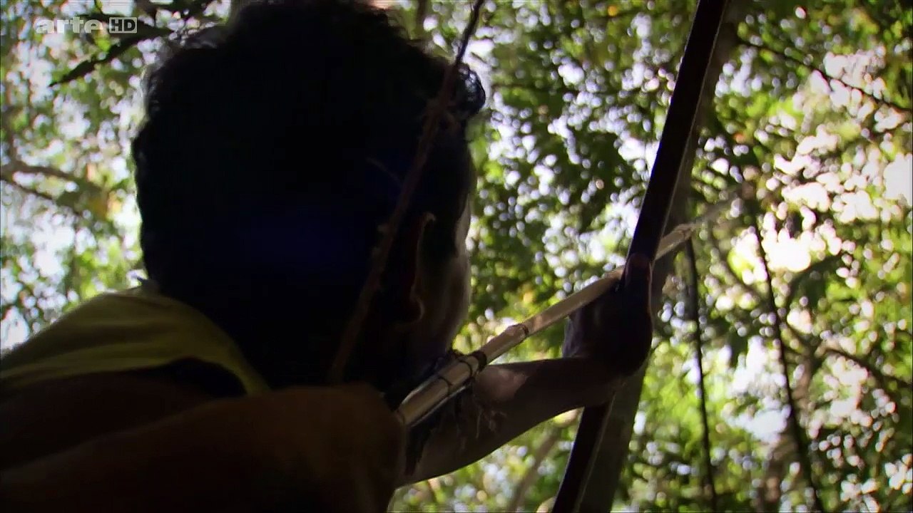 La Langue Cachée D'amazonie