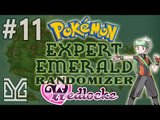 Pokémon Expert Emerald Randomizer Wedlocke #11: Nhiều :v