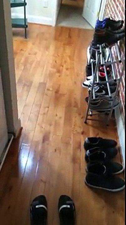 Dance with the mop as it cleans.