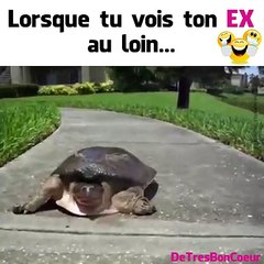 Lorsque tu vois ton EX arriver de loin