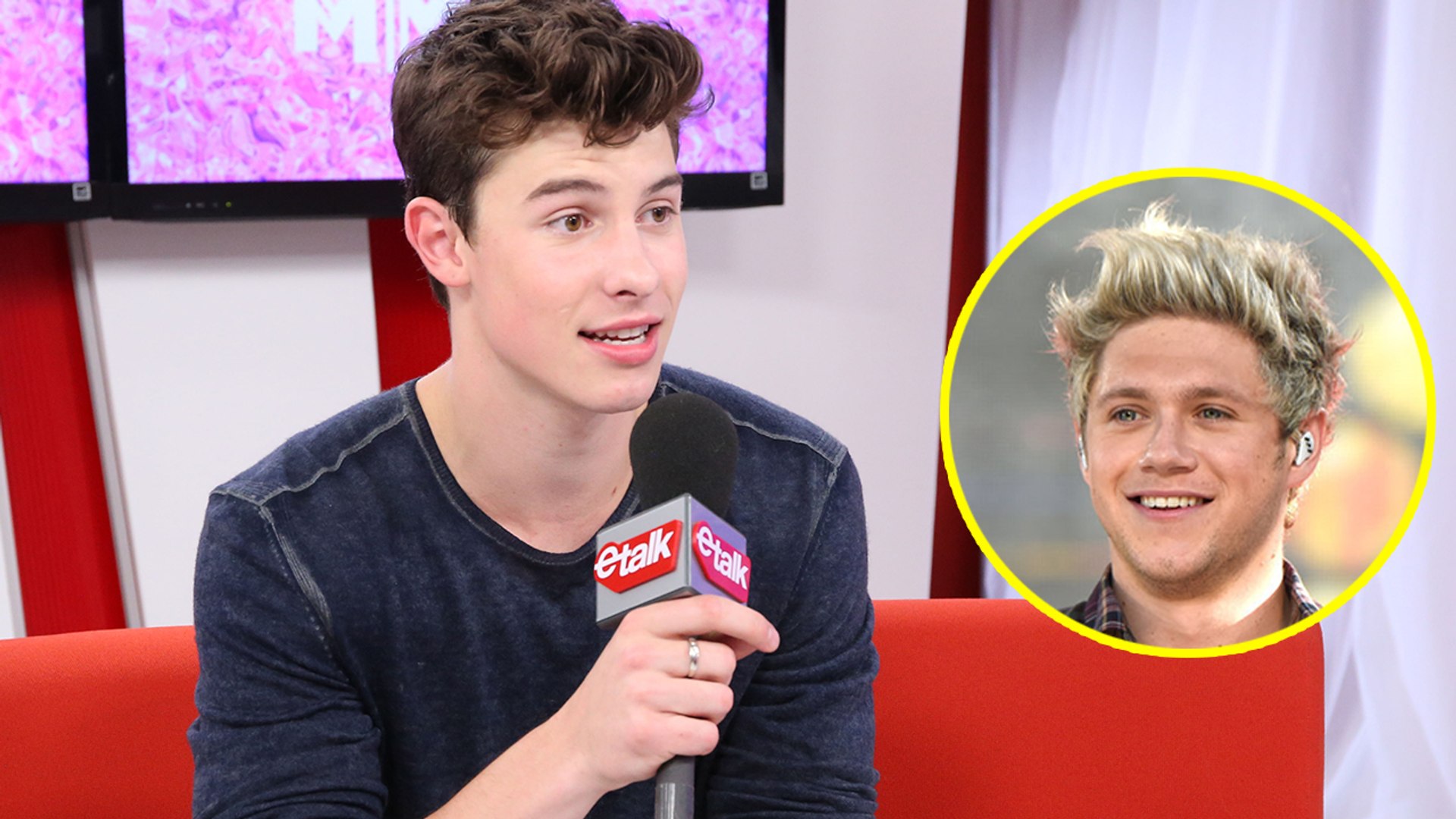 ⁣Shawn Mendes Confirms Niall Horan Collaboration Song