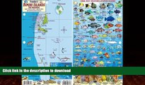 EBOOK ONLINE  Bimini Islands Bahamas Dive Map   Reef Creatures Guide Franko Maps Laminated Fish