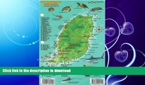 READ BOOK  Grenada Dive Map   Reef Creatures Guide Franko Maps Laminated Fish Card FULL ONLINE