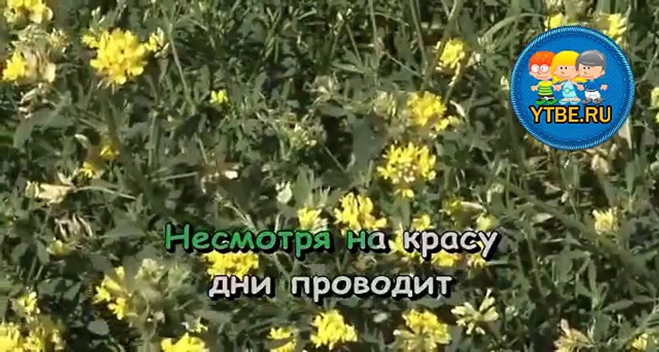 Караоке для детей. Песенка лисы Из мультфильма Буренка из Масленкина. Детские песни