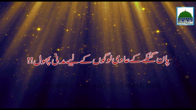 Pan Gutkay Kay Adi Logo Kay Liye Madani Phool - Maulana Ilyas Qadri - Video Bayan