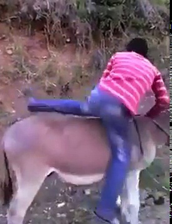 ass funny boy 2017