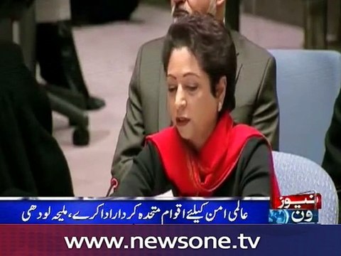 Pakistan calls for closer political interaction to address security challenges :Maleeha Lodhi