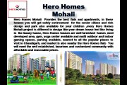 Hero Homes Flats