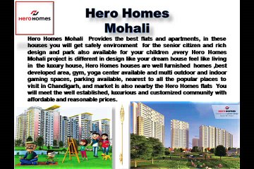 Hero Homes Flats