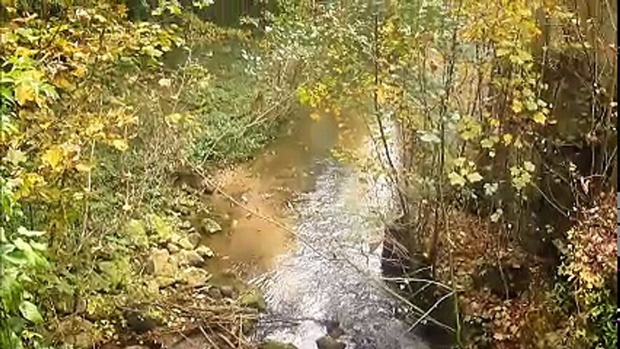Randonnée à PAS en ARTOIS le 27 Octobre 2016