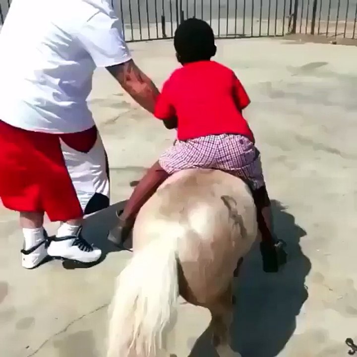 BEST HORSE RIDING FUNNY