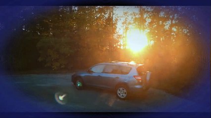 David Laid - Aesthetics - Fitness Motivation