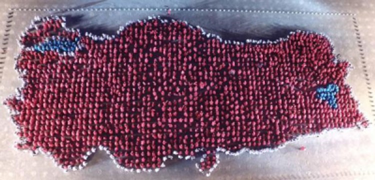 2 Bin 123 Kişi Türkiye Haritası Oluşturdu! Guinness'e Başvuruldu