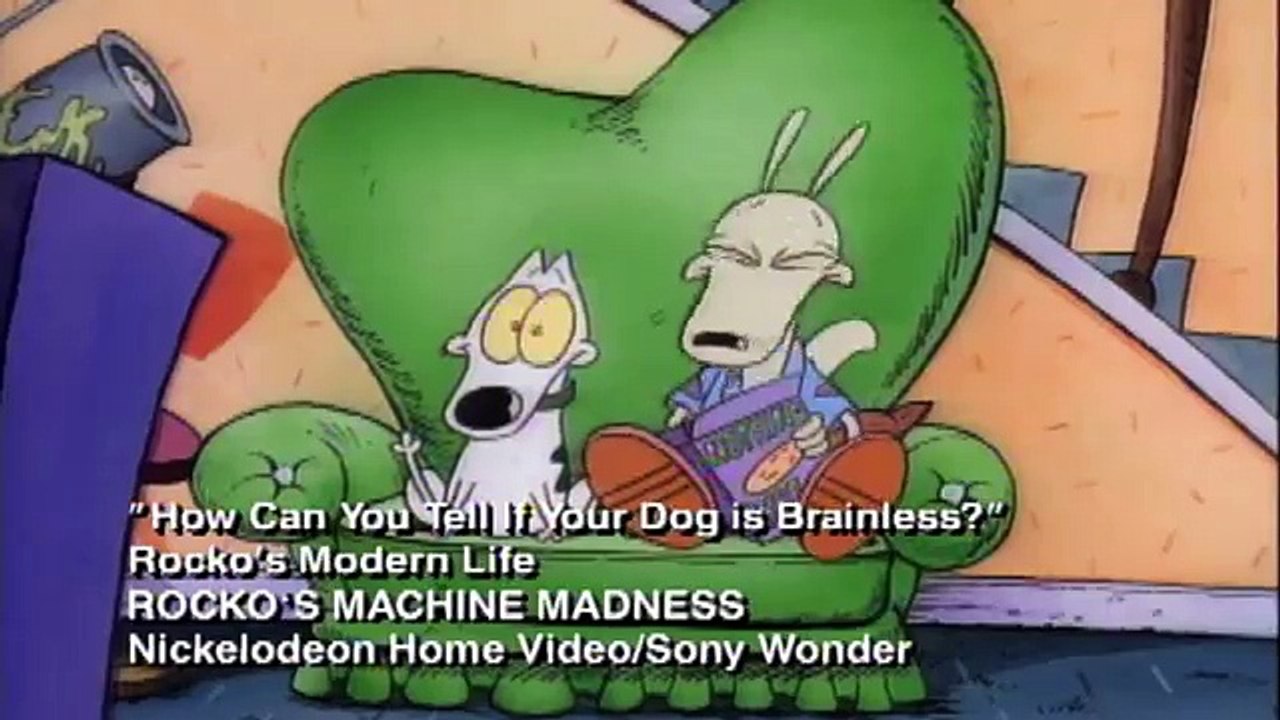 How Can You Tell If Your Dog is Brainless? | Rockos Modern Life | The Splat