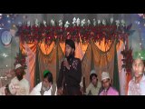 Hafiz Ali Raza Qadri - JANNAT ME LEKE JAEGI CHAHAT RASOOL KI - Mehfile Naat 28 March 2016