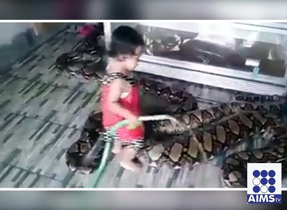 خوفناک کوبرا کی ننھی سی معصوم دوست