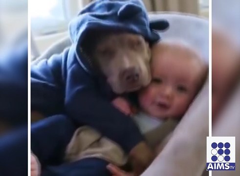 کتے اور معصوم بچے کی وڈیو وائرل ہوگئی