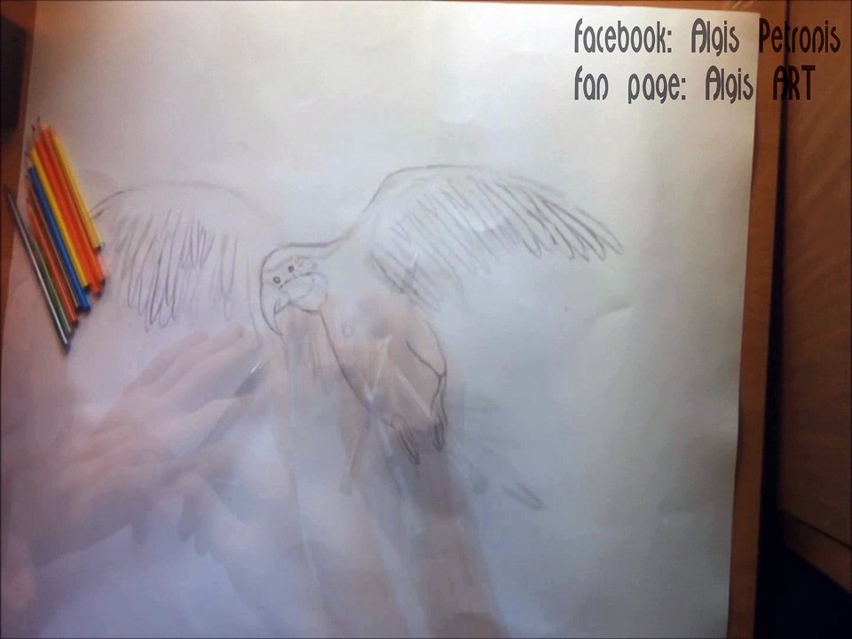 I Draw a Parrot (short video)