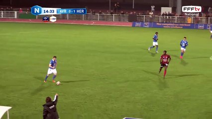 Frappe lointaine de Lavenant