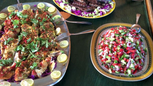 résumé en image voyage dauphins 2016