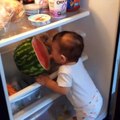 Bébé et pastéque