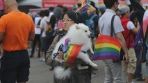 Taipei, capital del orgullo LGBT en Asia con la mayor marcha del continente