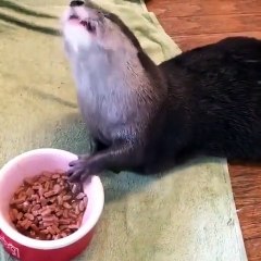 Quand tu passe ton Samedi à regarder des séries.