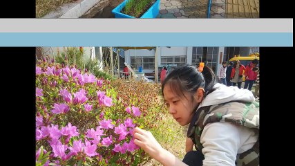 고2-4반 사진 동영상_프린세스 프리큐어 보컬앨범 테마