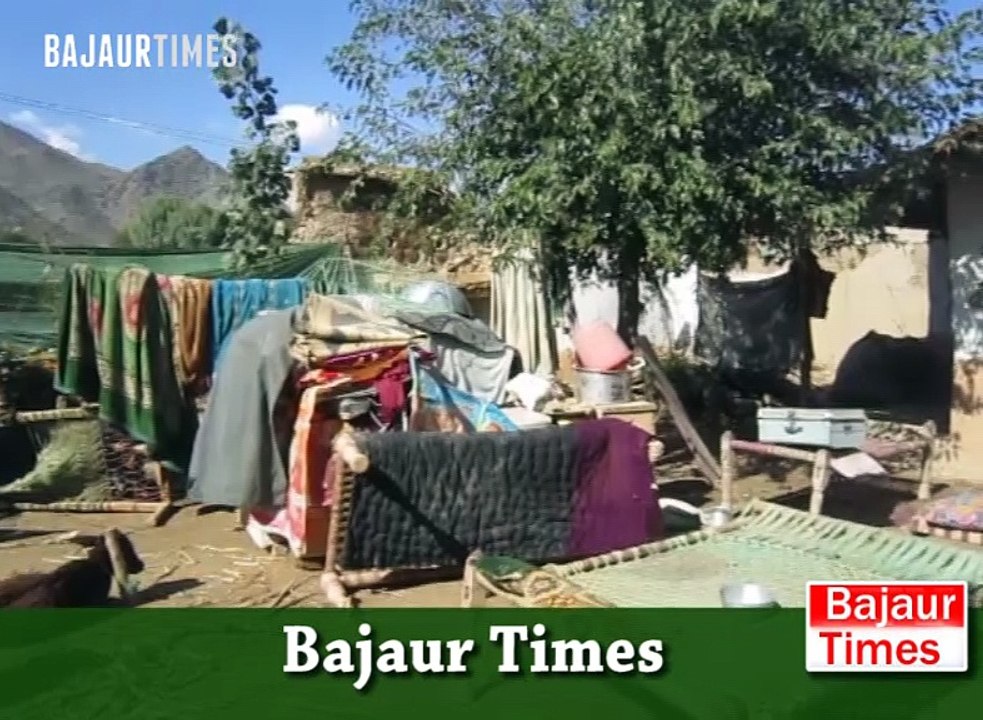 Bajaur Agency Administration, Fata Disaster Management Authority and any political and human rights organizations failed