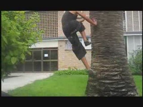 nuevo traceur,nuevo aspecto parkour