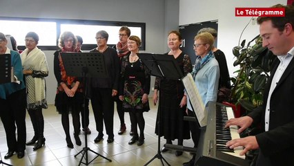 Carhaix. L'Irlande à l'honneur au festival du livre