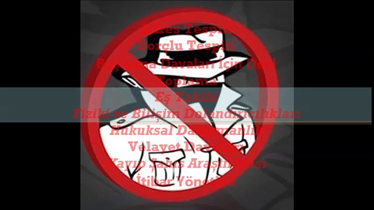 özel dedektiflik