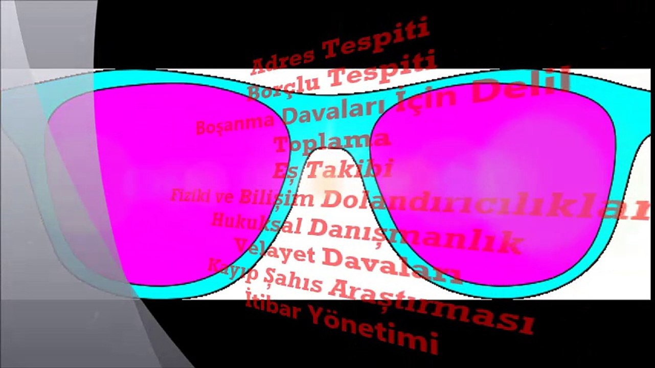 özel dedektiflik