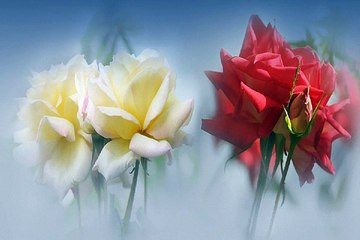 천호마사지 신림휴게텔 밤전닷컴