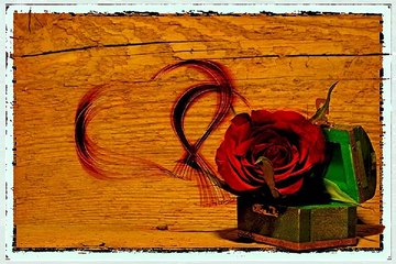 중구오피방 신설안마시술소 밤전닷컴